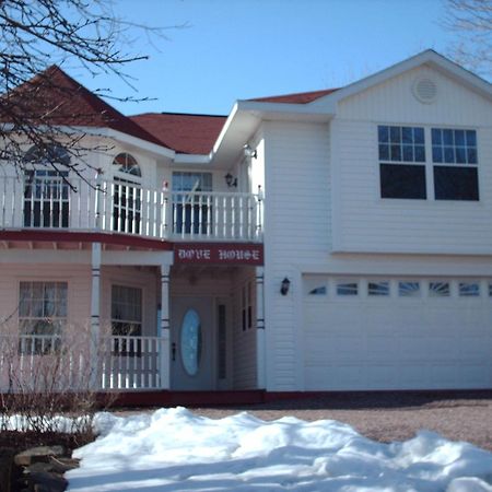 شمال سيدني Dove House Bed & Breakfast Harbourside المظهر الخارجي الصورة