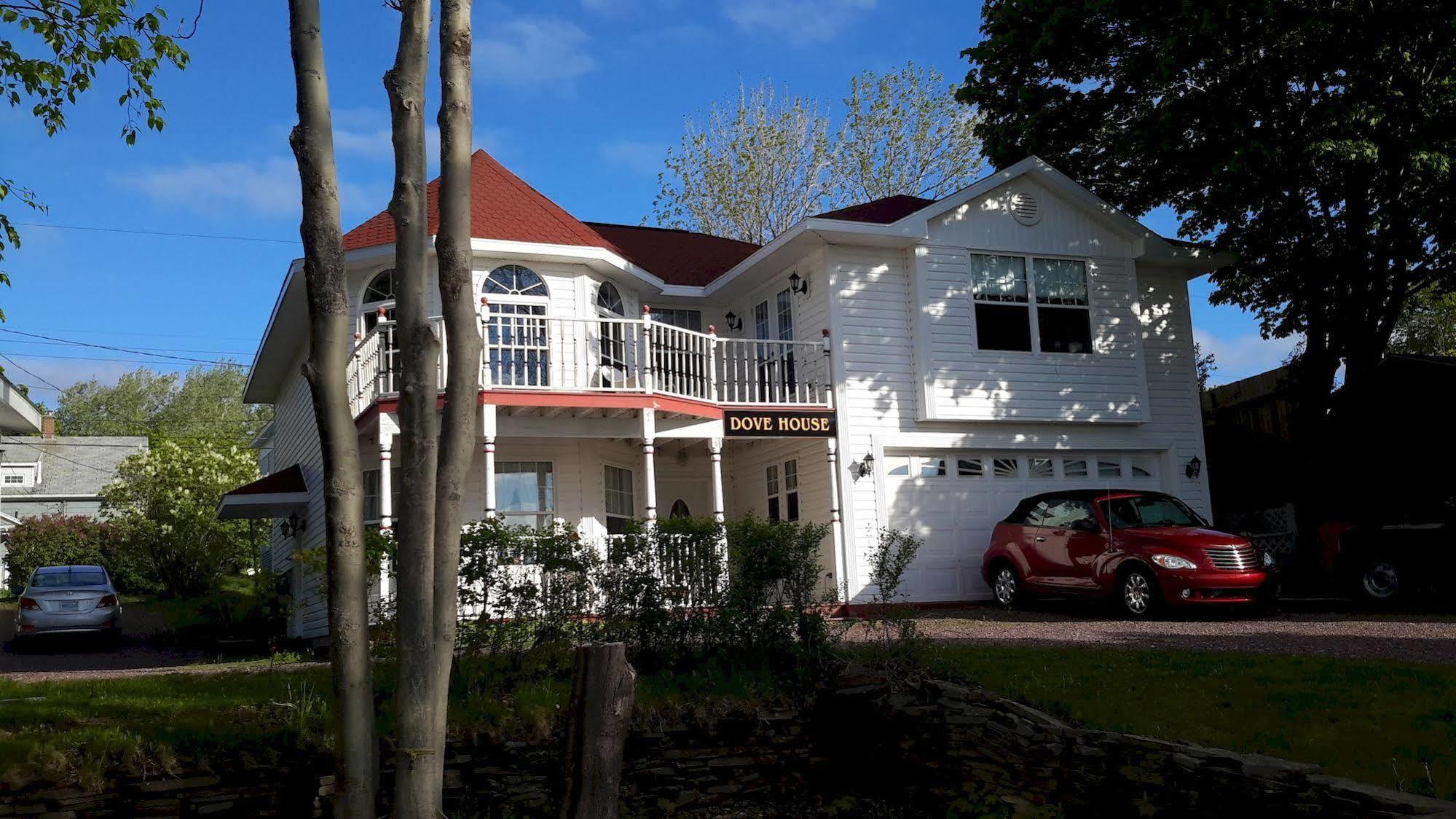 شمال سيدني Dove House Bed & Breakfast Harbourside المظهر الخارجي الصورة