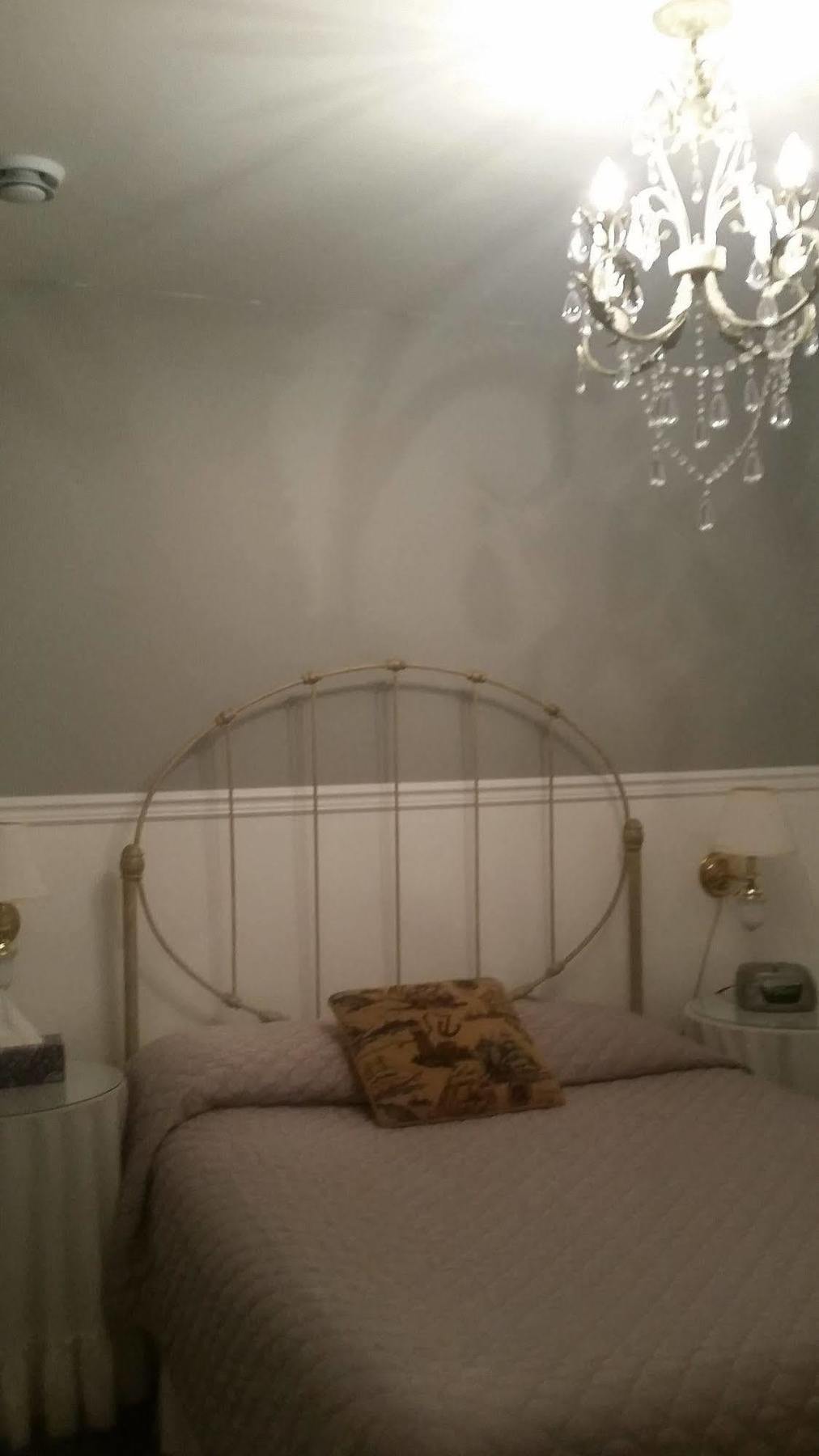 شمال سيدني Dove House Bed & Breakfast Harbourside المظهر الخارجي الصورة