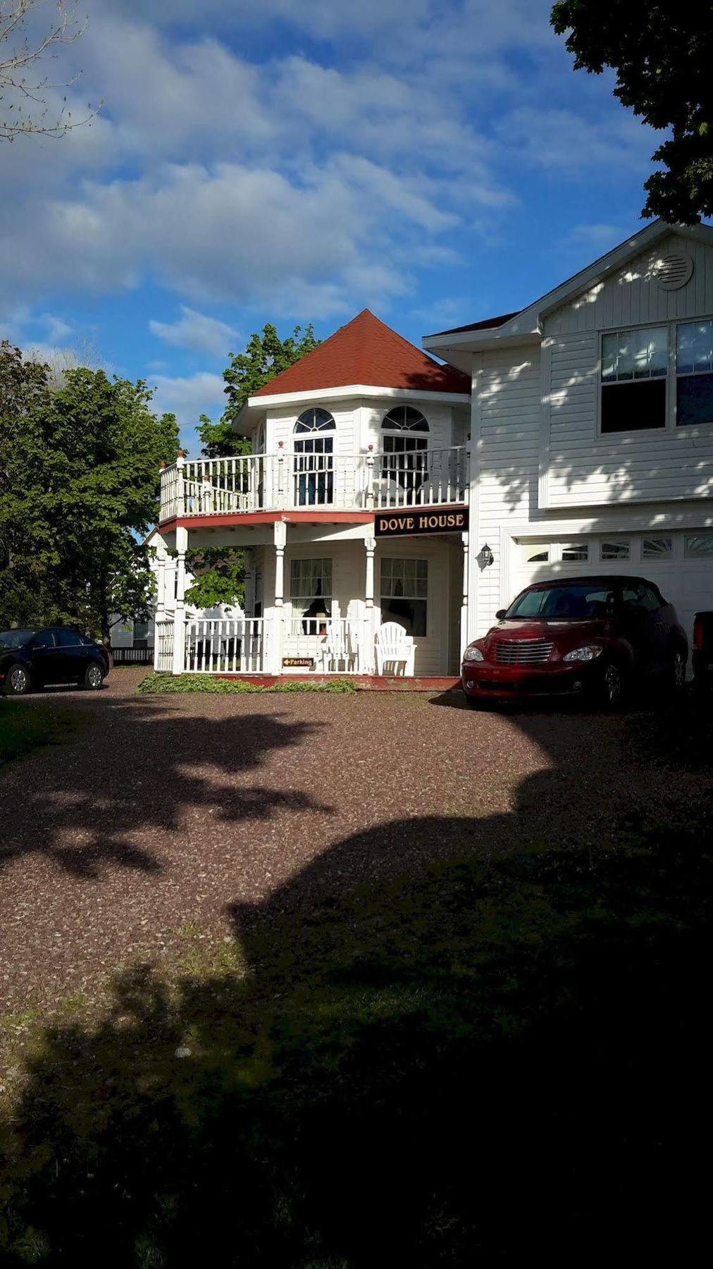 شمال سيدني Dove House Bed & Breakfast Harbourside المظهر الخارجي الصورة